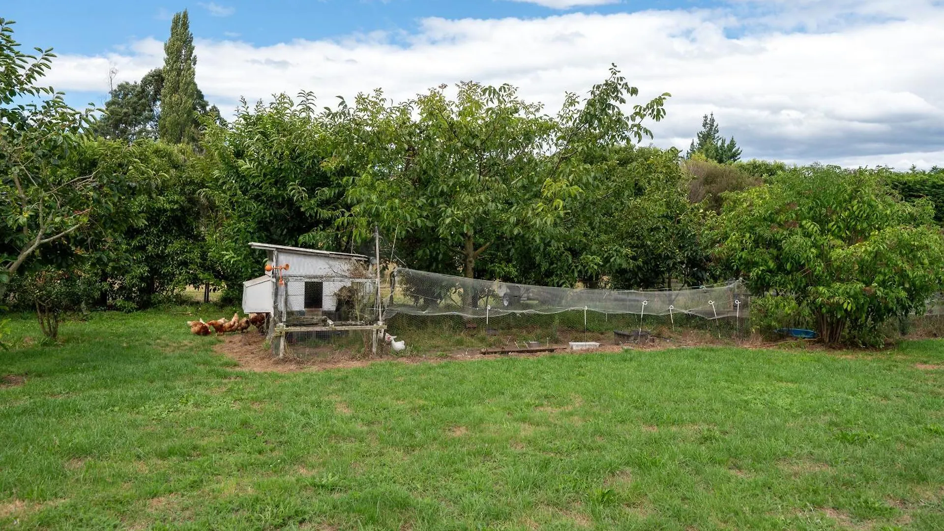 Rotorua Hamurana Retreat- Located In Rotorua'S Most Beautiful Countryside 0*,  New Zealand